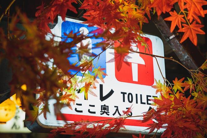 奉贤宝业青春里发布：优势抢先看!麻将胡了2模拟器◈宝业青春里售楼处(图8)