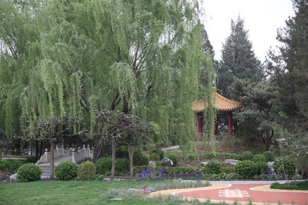 业照护康语轩孙河老年公寓医养结合服务项目详解PG电子麻将胡了22026最新北京失智老人专(图29)