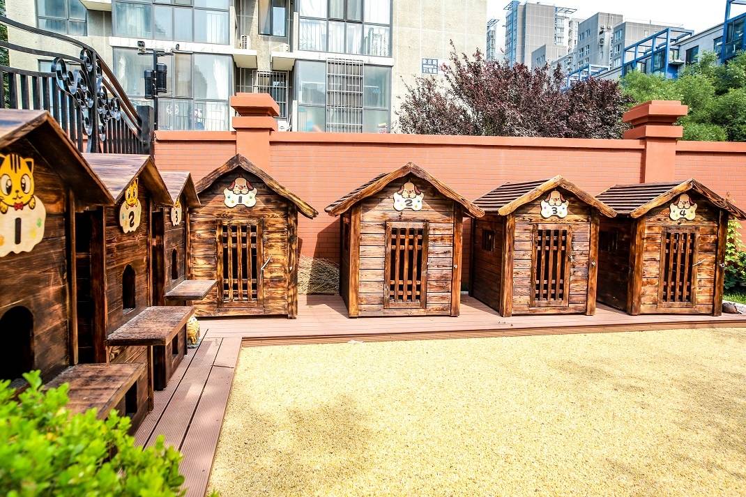 社区｜光大汇晨北京老年公寓（北七家）｜参观入住攻略呈上麻将胡了游戏2026最新｜长护险可用临终关怀高端养老(图5)