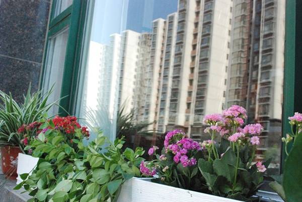 社区｜光大汇晨北京老年公寓（北七家）｜参观入住攻略呈上麻将胡了游戏2026最新｜长护险可用临终关怀高端养老(图45)